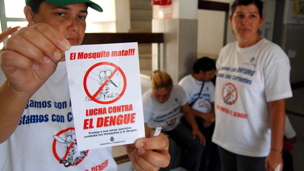 Argentina vive explosão de casos de dengue e invasão de mosquitos