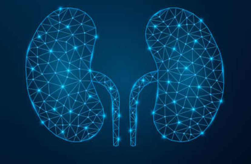 Nefrologista aponta sinais do corpo quando os rins estão comprometidos